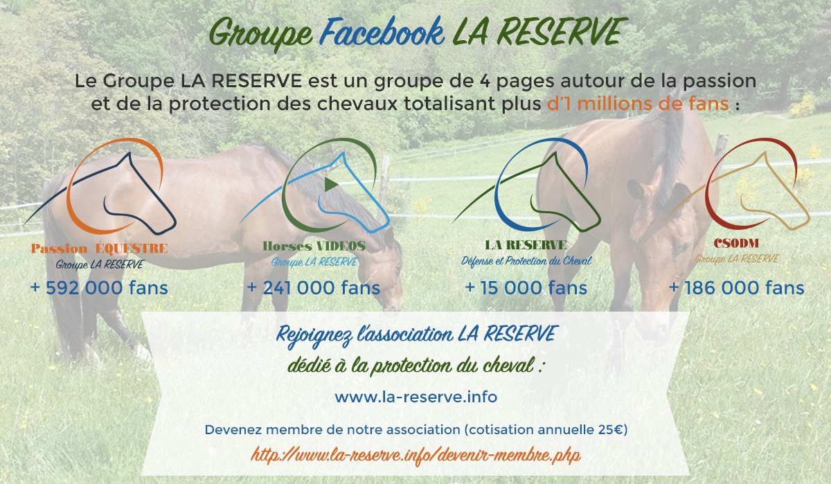 Groupe La RESERVE – 1 Millions de fans autour de la passion et de la protection du cheval !