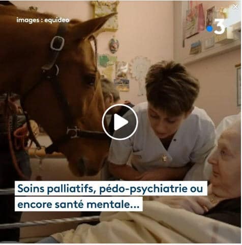 Le cheval Peyo est passé au chevet des patients de l’hôpital !