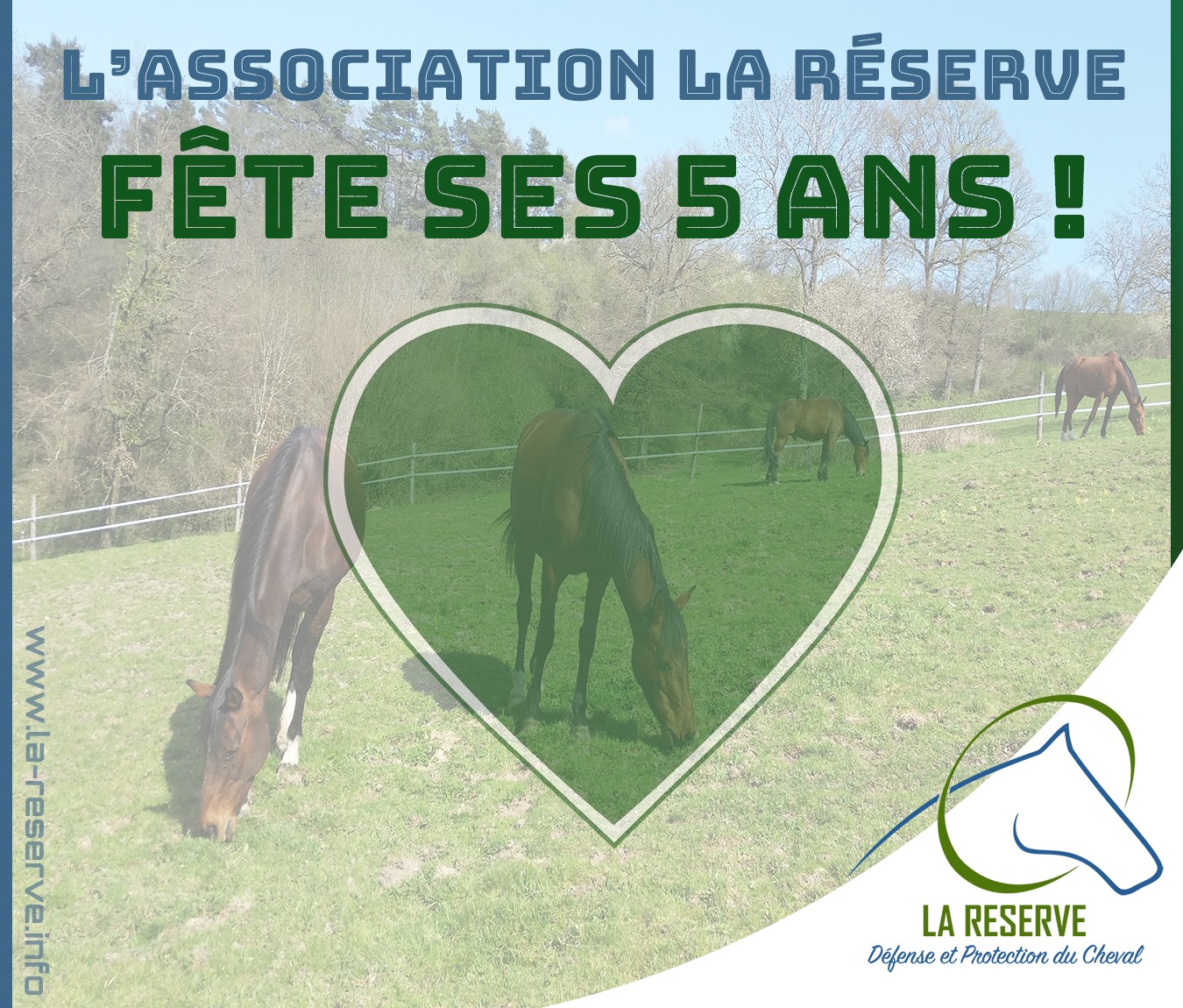 #Anniversaire – L’association La-Reserve fête ses 5 ans d’existence 🎉