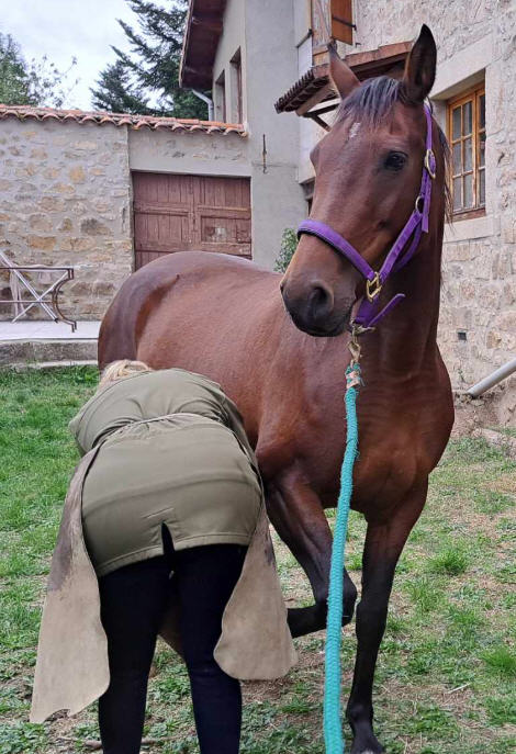 Équidé La Réserve