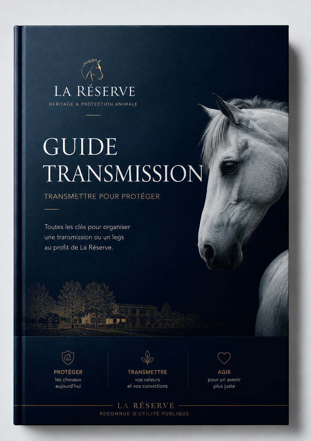Guide transmission