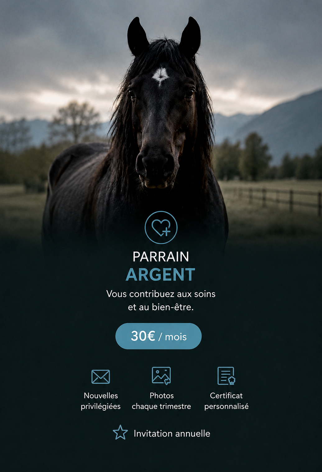 Parrain Argent