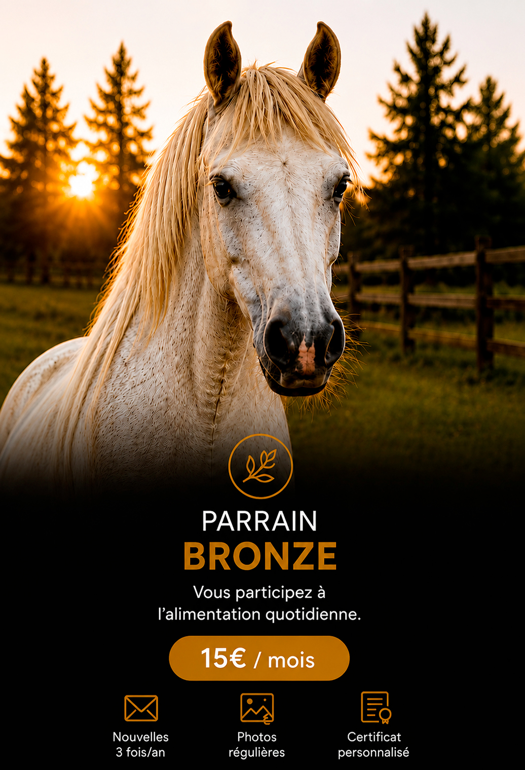 Parrain Bronze