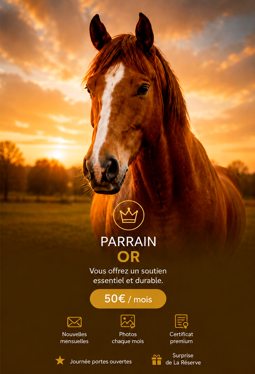 Parrain Or