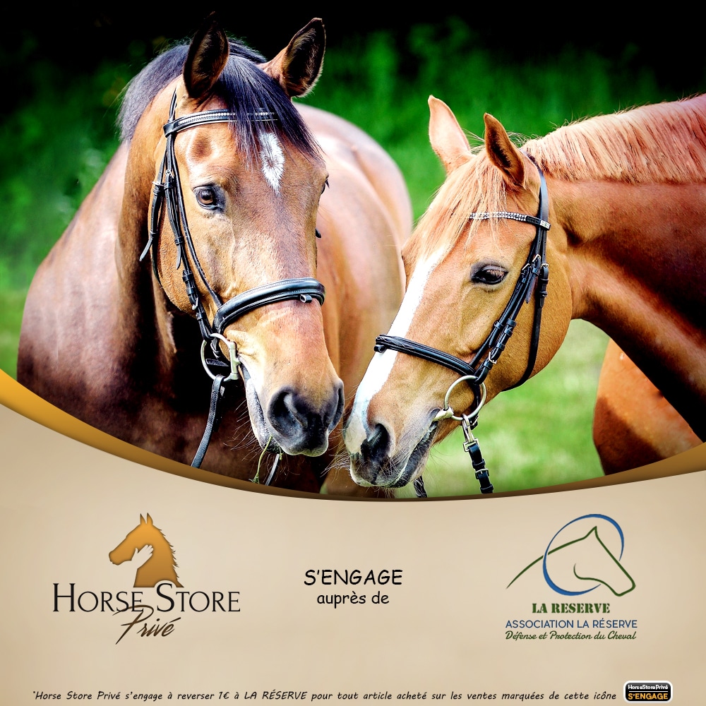 PARTENARIAT – Horse Store Privé renouvelle sa confiance à l’association La Reserve !