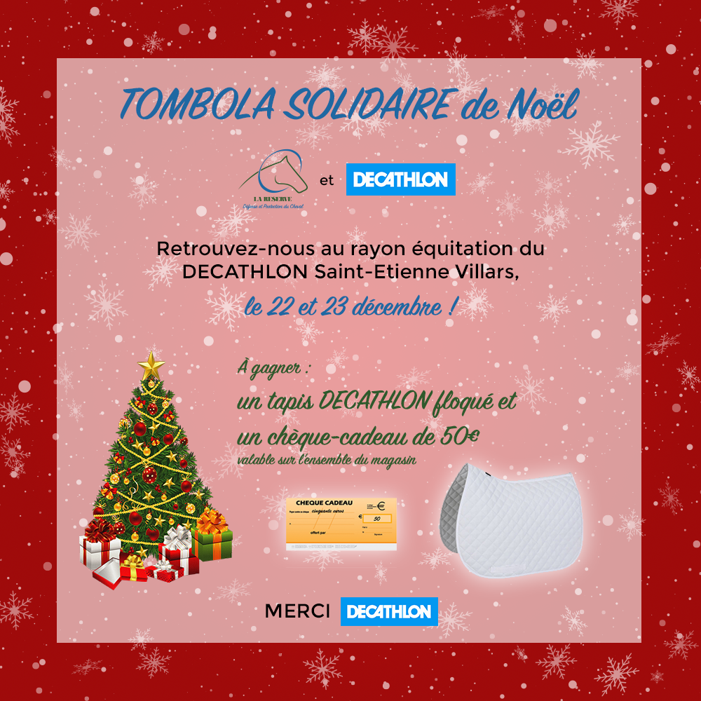 Tombola Solidaire de Noël les 22 et 23 décembre à DECAHTLON Villars