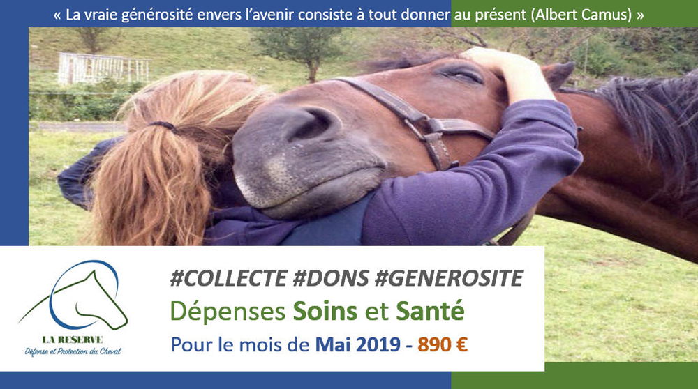 Collecte Soins et Sante Mai 2019 pour La-Reserve